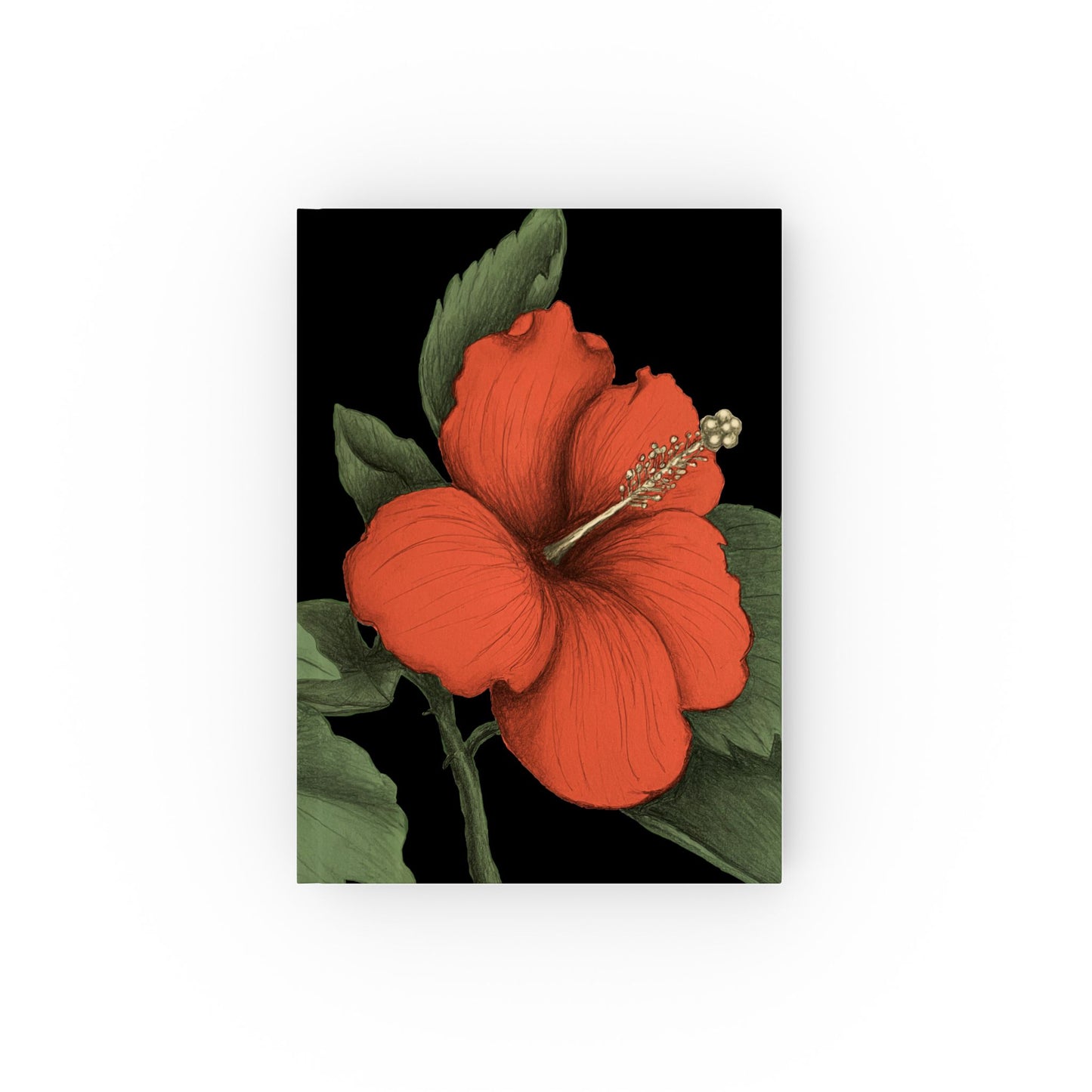 Hibiscus Sketch Book