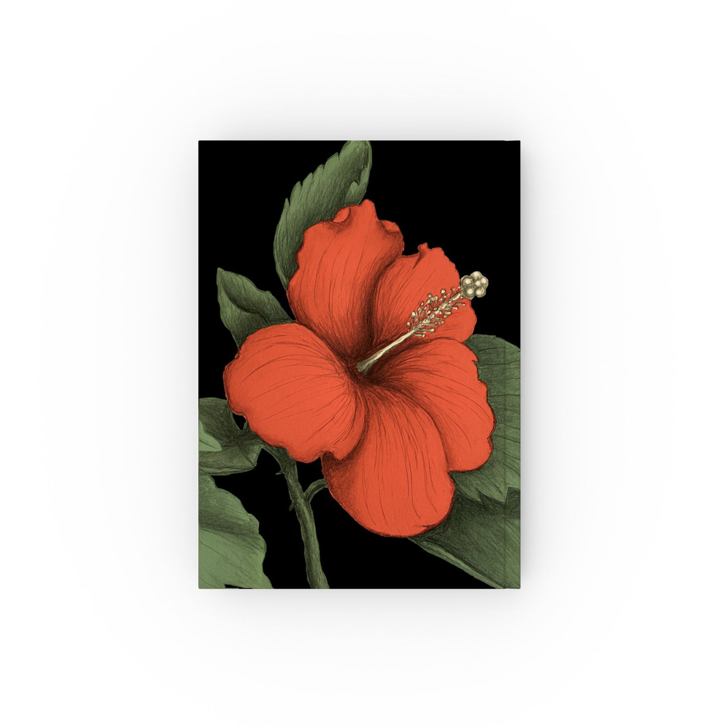 Hibiscus Sketch Book